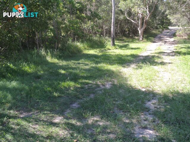 35 Kooberry  Street MACLEAY ISLAND QLD 4184