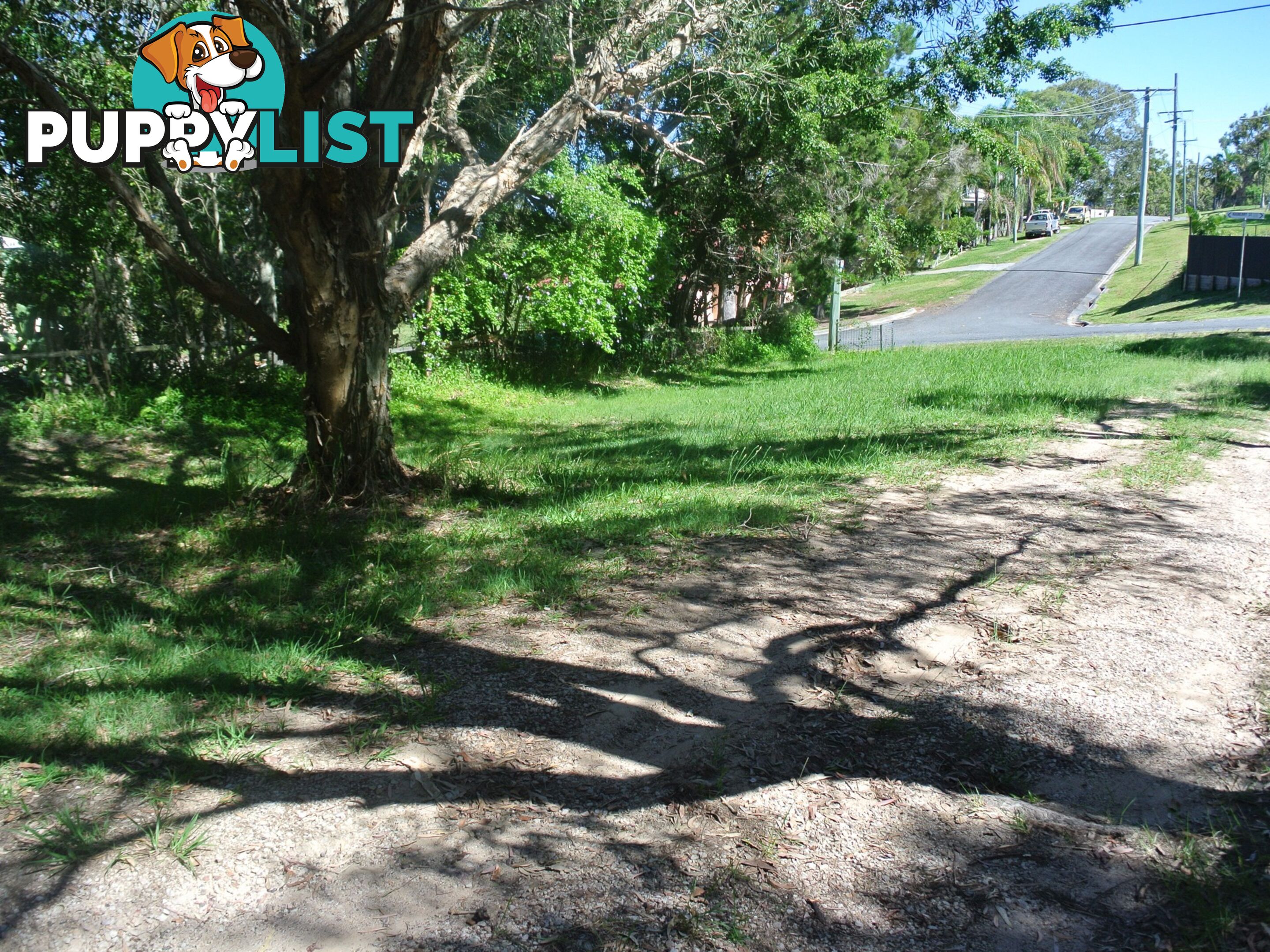 35 Kooberry  Street MACLEAY ISLAND QLD 4184