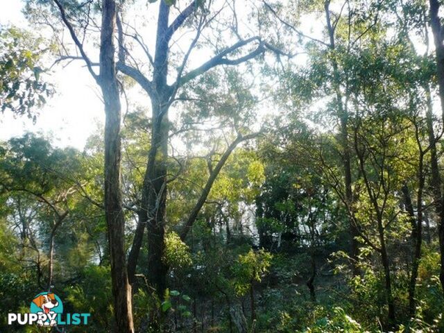 36 Calm Waters Crescent MACLEAY ISLAND QLD 4184