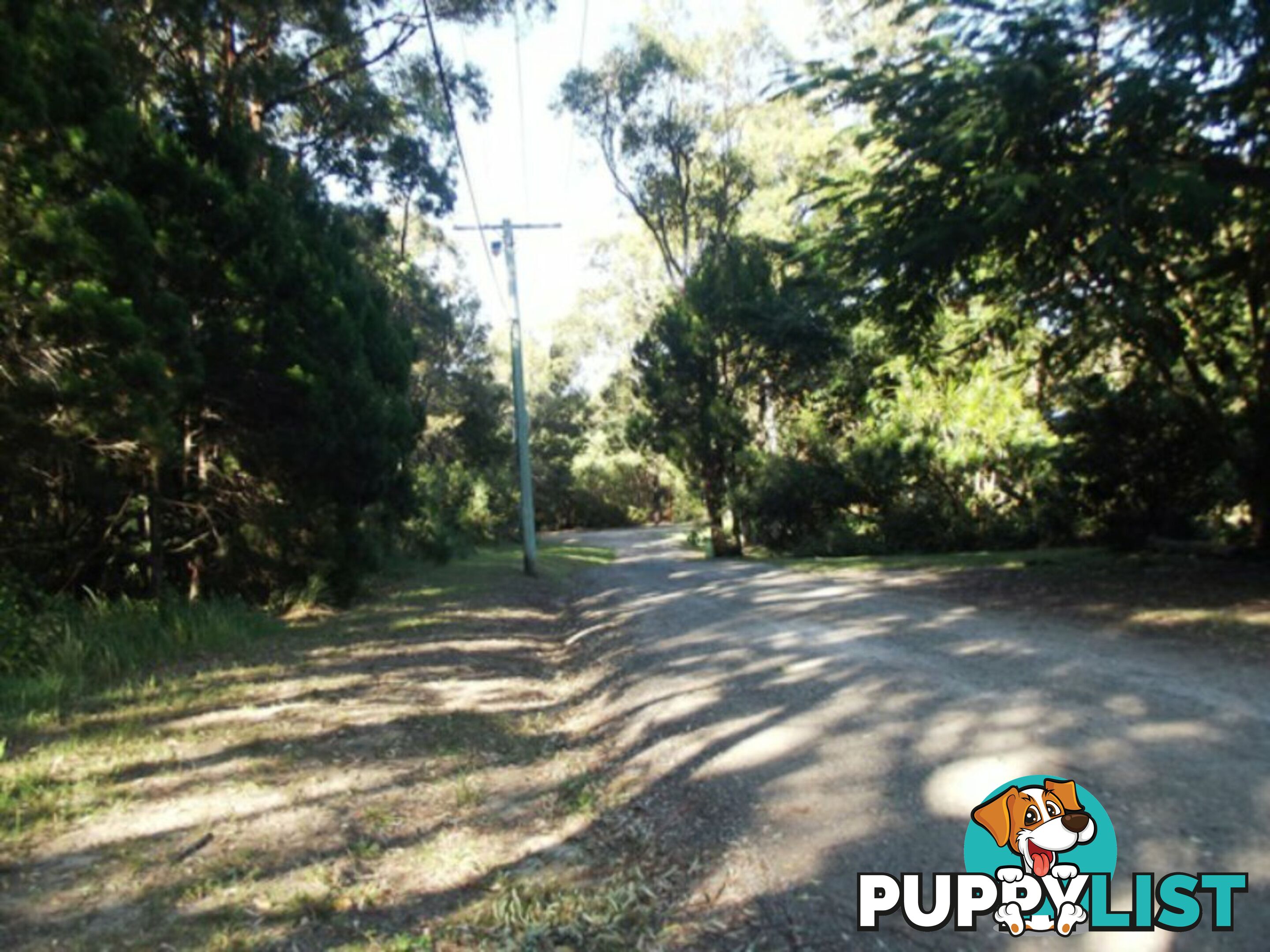 10 Piccaninny Street MACLEAY ISLAND QLD 4184