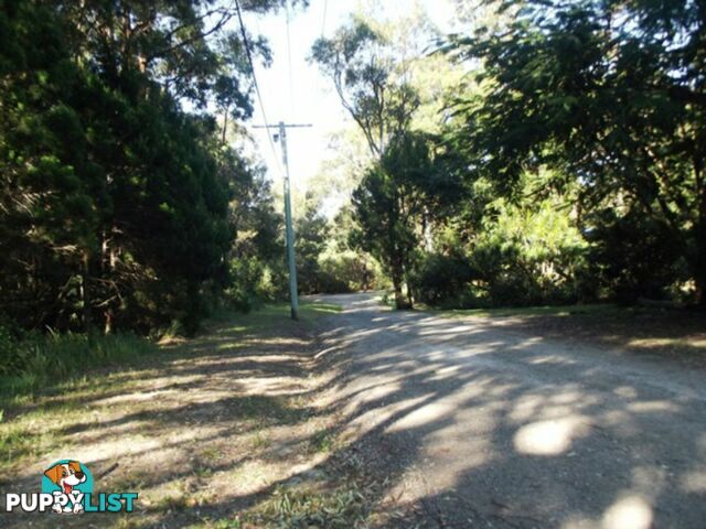 10 Piccaninny Street MACLEAY ISLAND QLD 4184