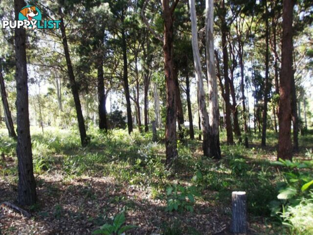 10 Piccaninny Street MACLEAY ISLAND QLD 4184