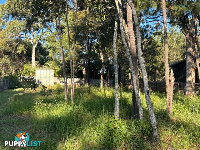 16 Devaney Street MACLEAY ISLAND QLD 4184