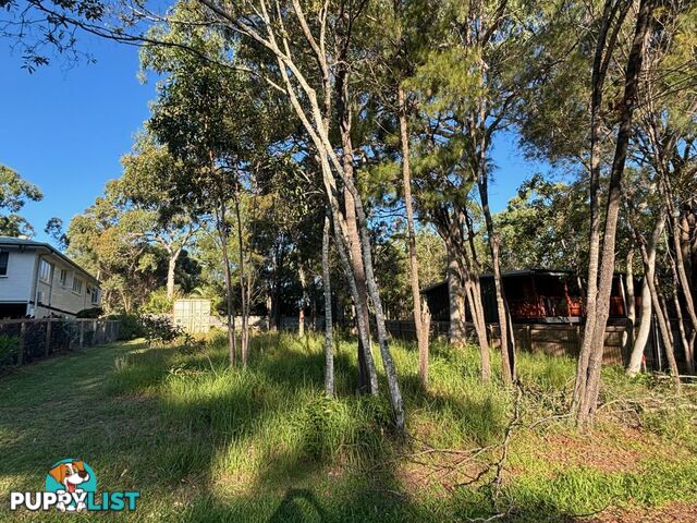 16 Devaney Street MACLEAY ISLAND QLD 4184