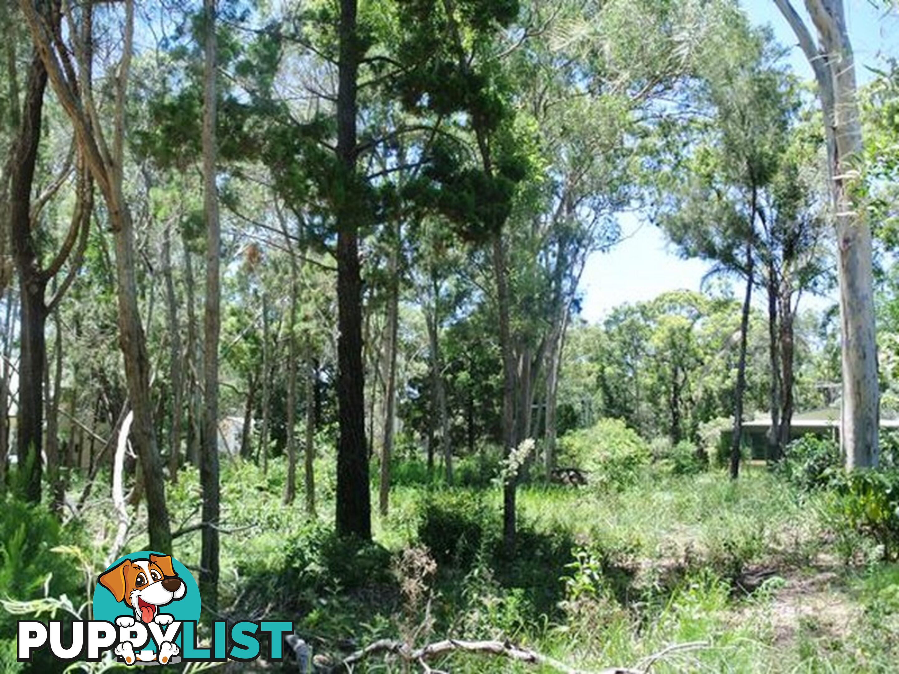 12 Ore Street MACLEAY ISLAND QLD 4184