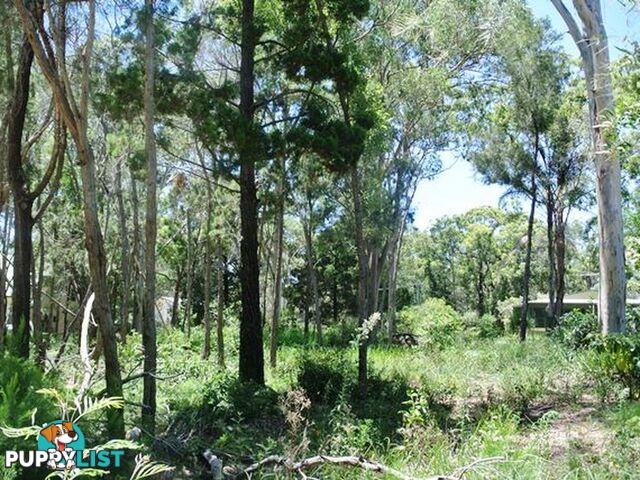 12 Ore Street MACLEAY ISLAND QLD 4184