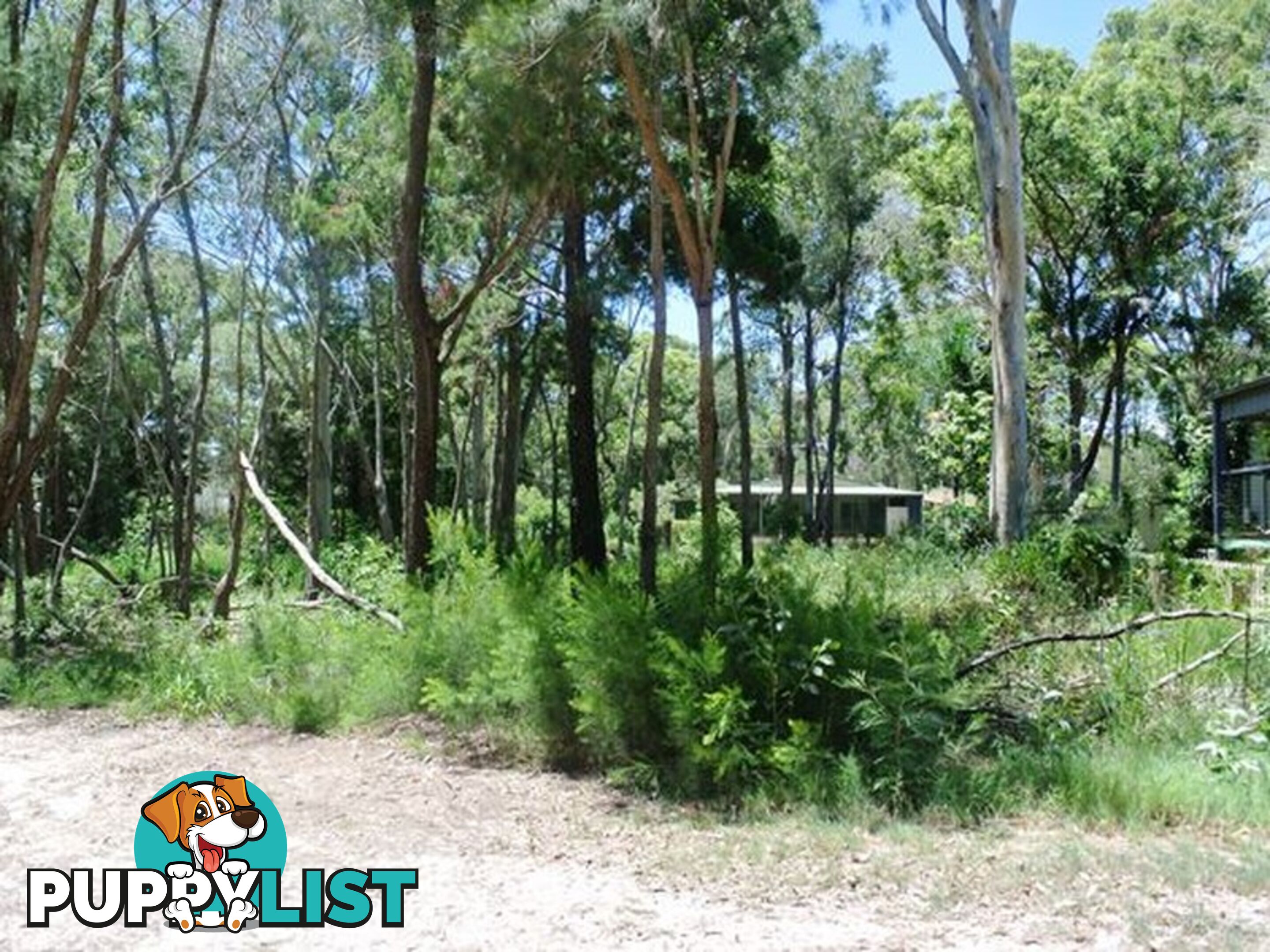12 Ore Street MACLEAY ISLAND QLD 4184
