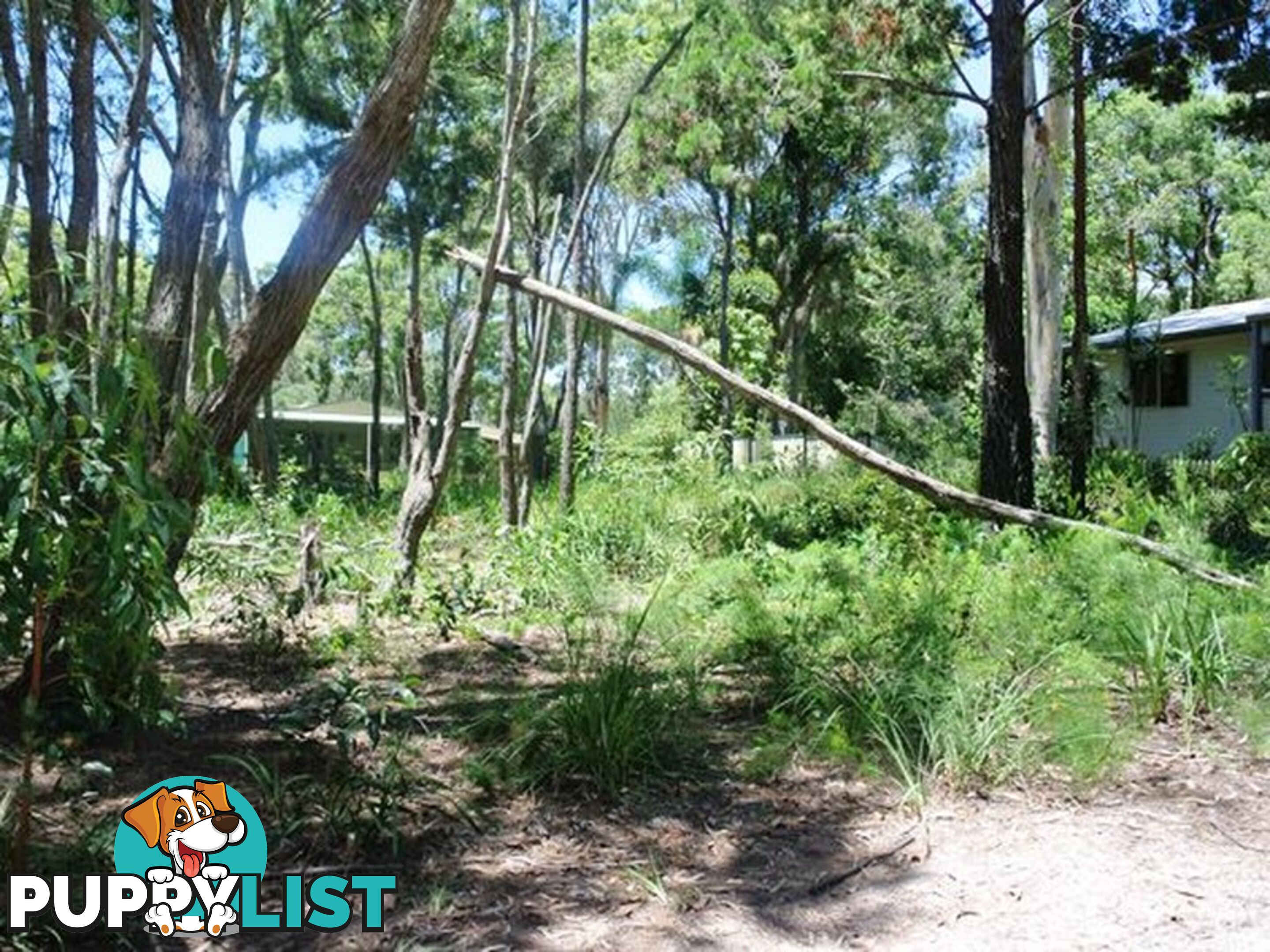 12 Ore Street MACLEAY ISLAND QLD 4184