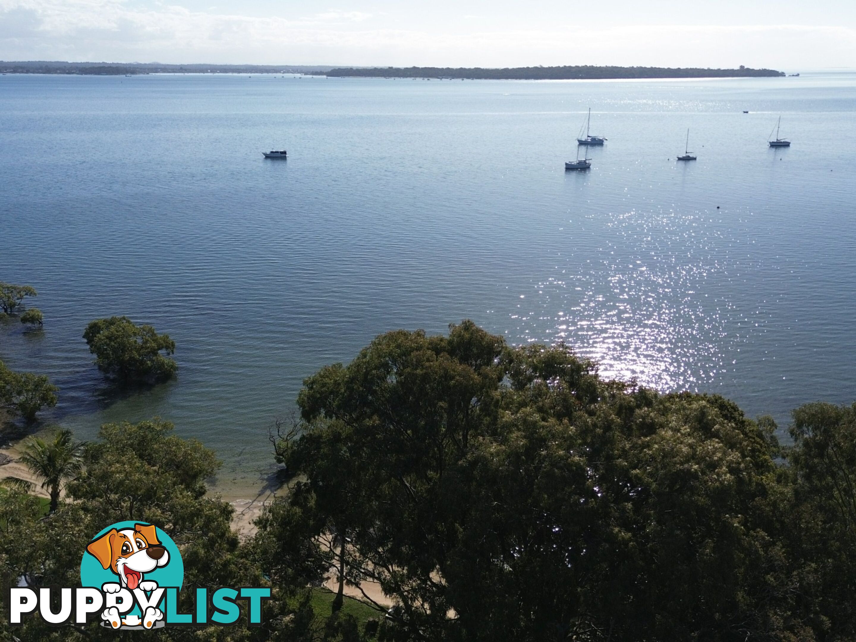 20 Kim Crescent MACLEAY ISLAND QLD 4184