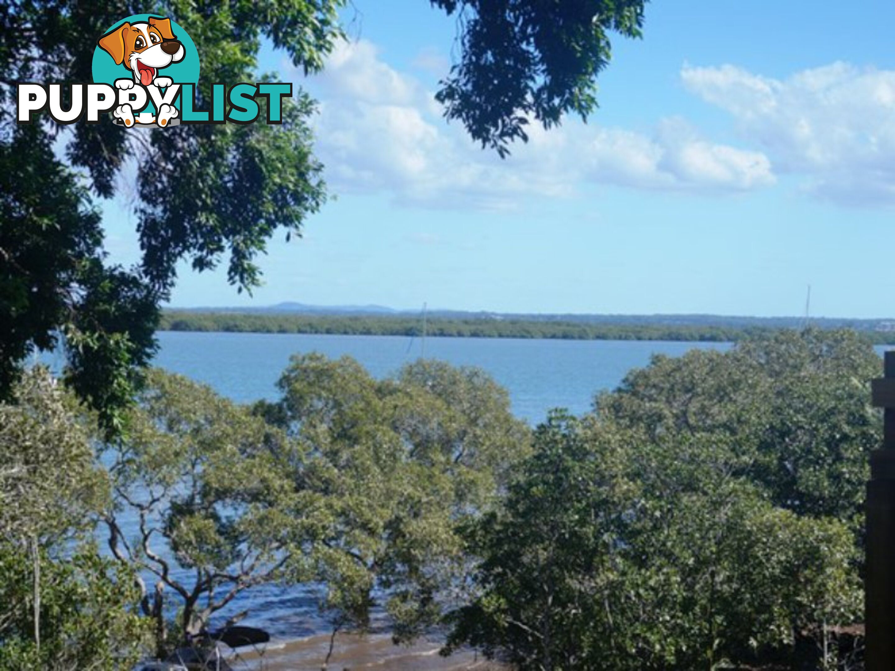 104 Western Road MACLEAY ISLAND QLD 4184