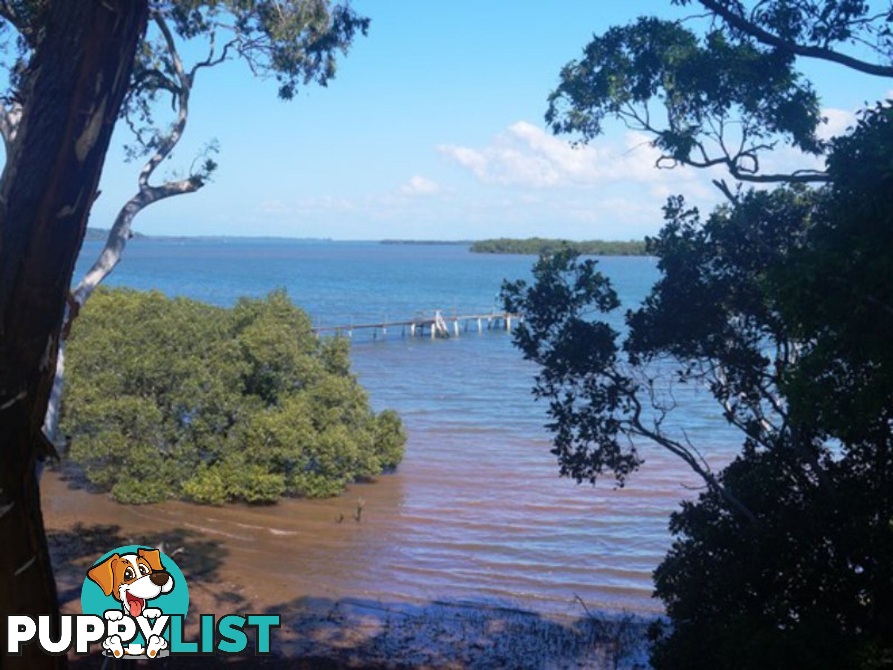 104 Western Road MACLEAY ISLAND QLD 4184