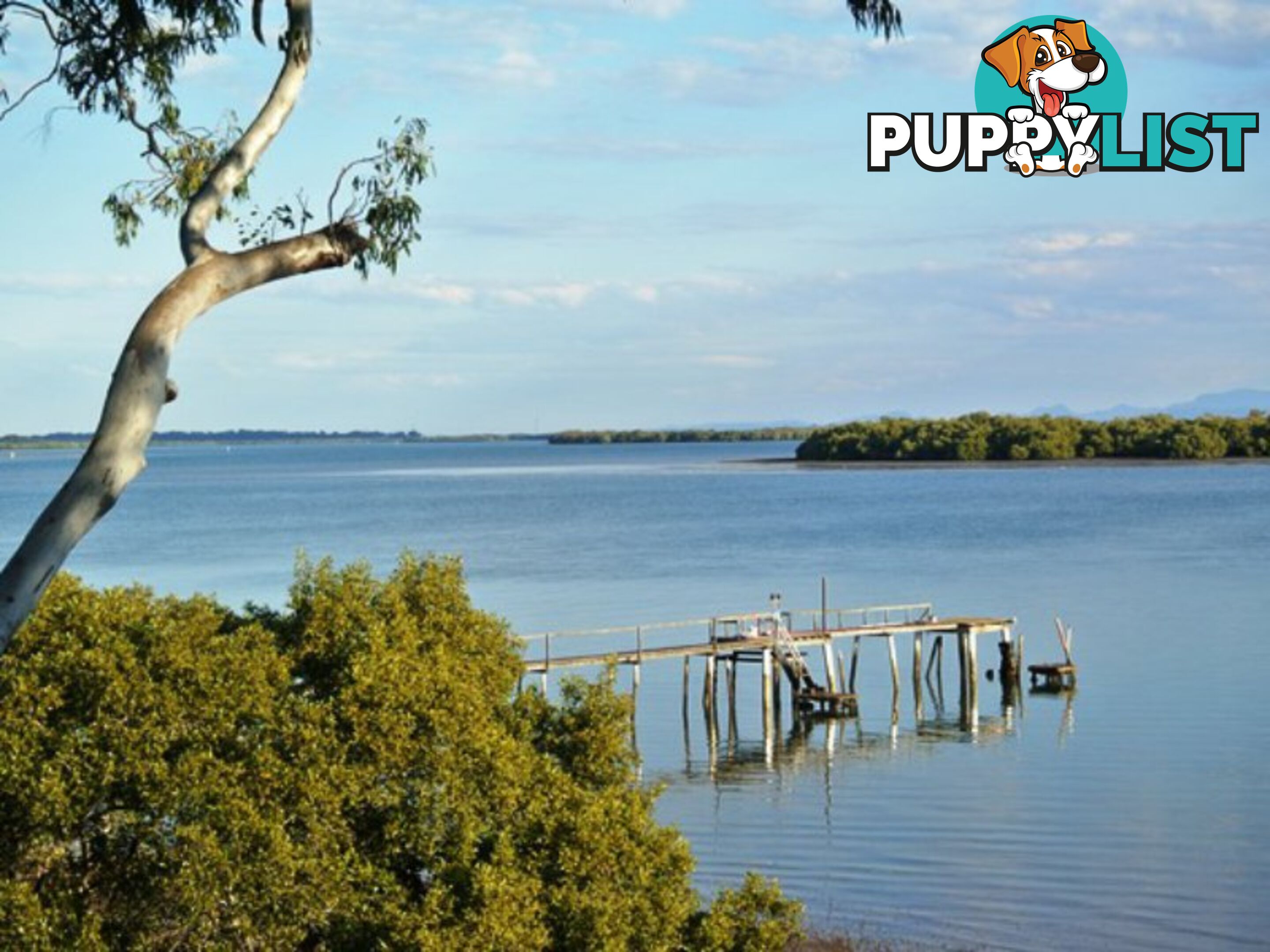 104 Western Road MACLEAY ISLAND QLD 4184