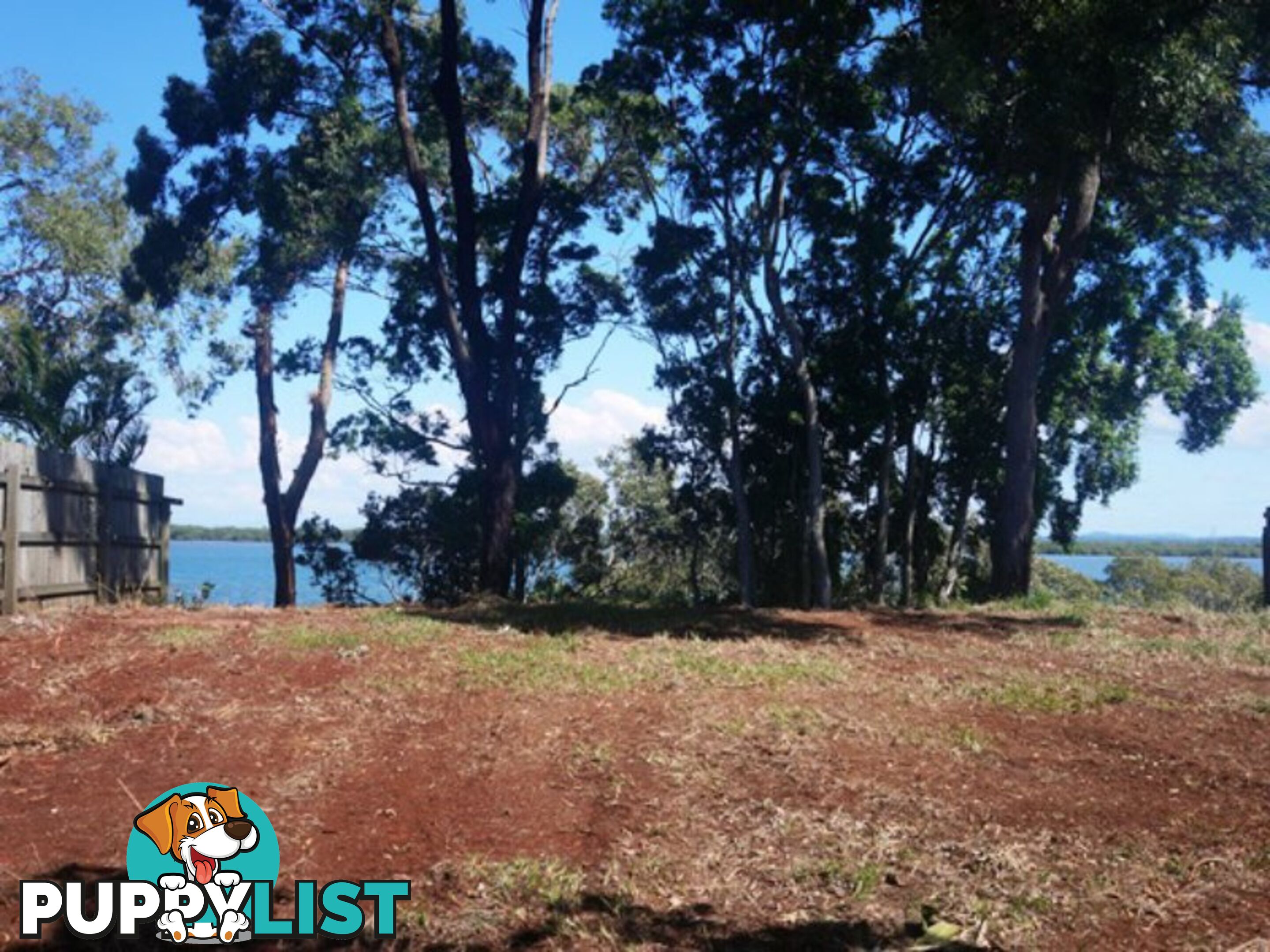 104 Western Road MACLEAY ISLAND QLD 4184