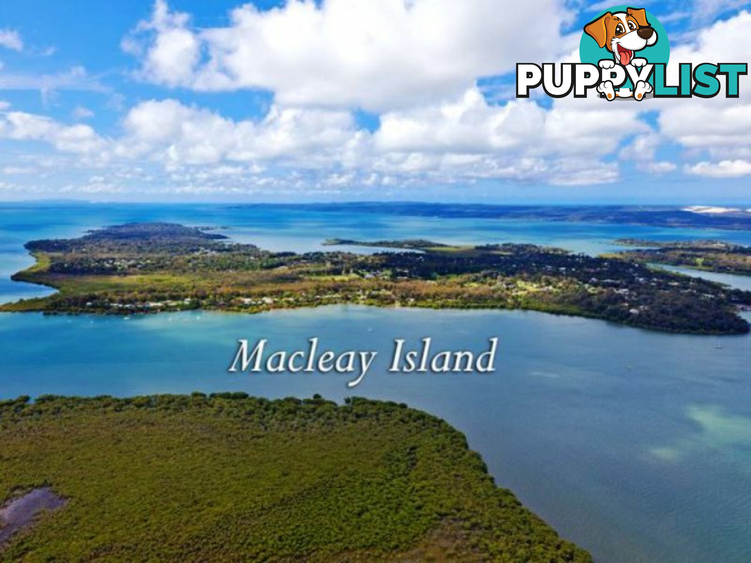 104 Western Road MACLEAY ISLAND QLD 4184