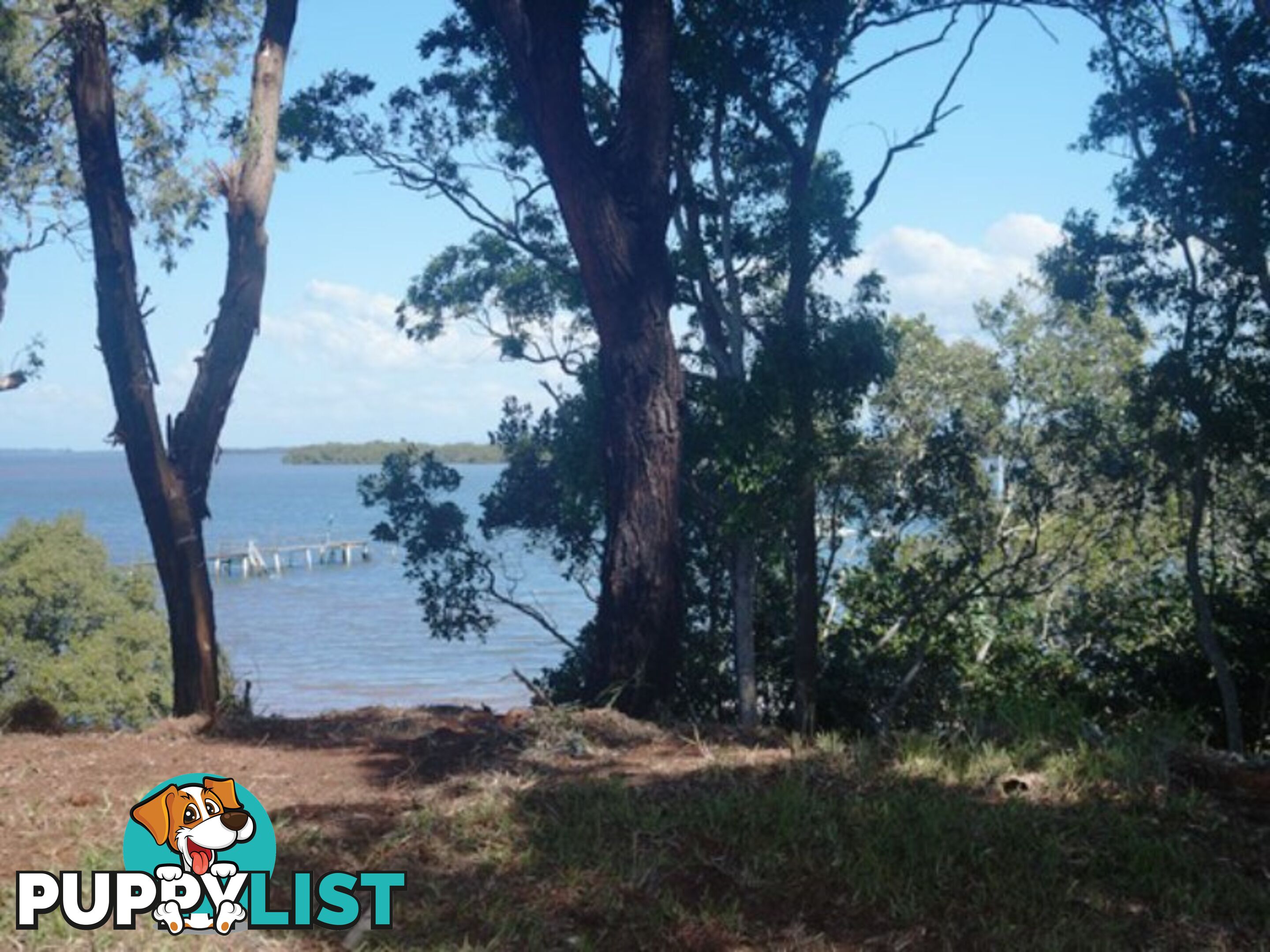 104 Western Road MACLEAY ISLAND QLD 4184