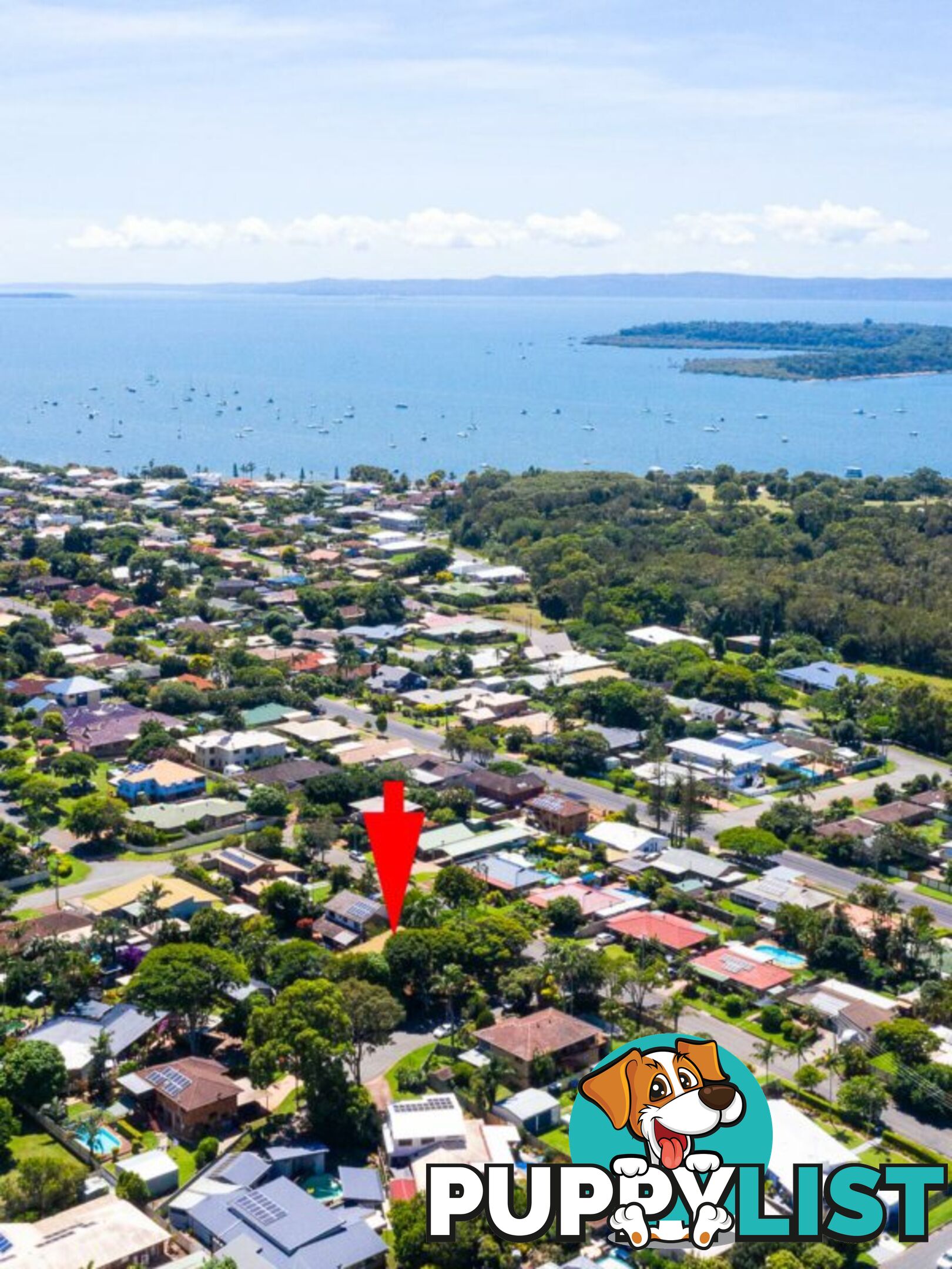 8 Albatross Street VICTORIA POINT QLD 4165