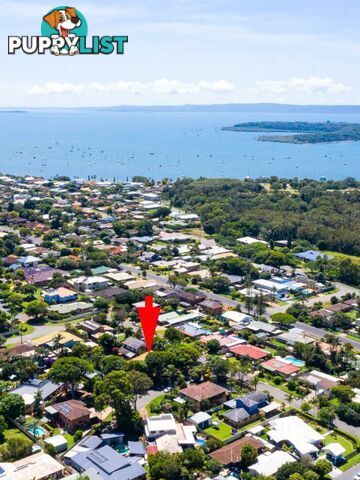 8 Albatross Street VICTORIA POINT QLD 4165