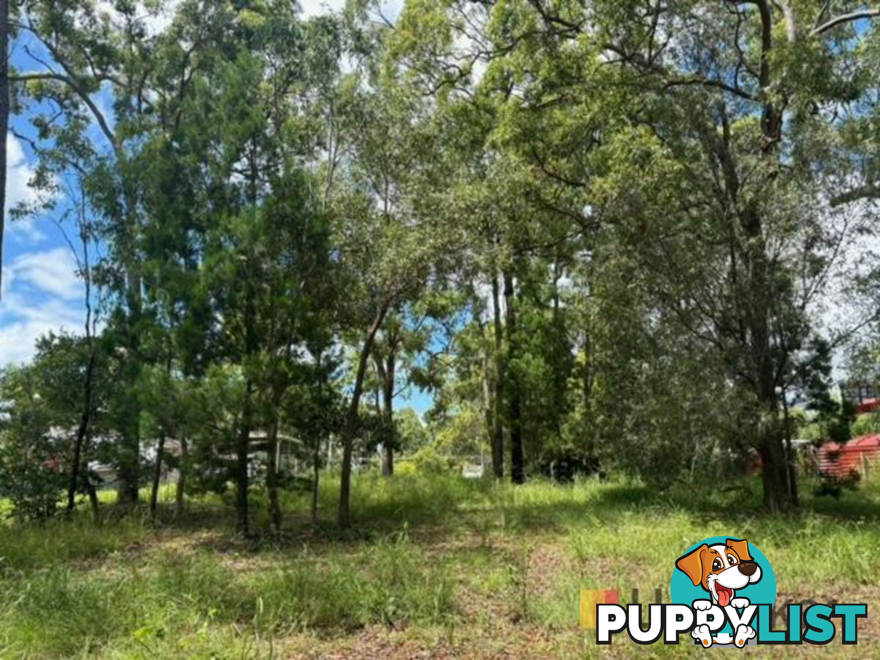 220 Kate Street MACLEAY ISLAND QLD 4184