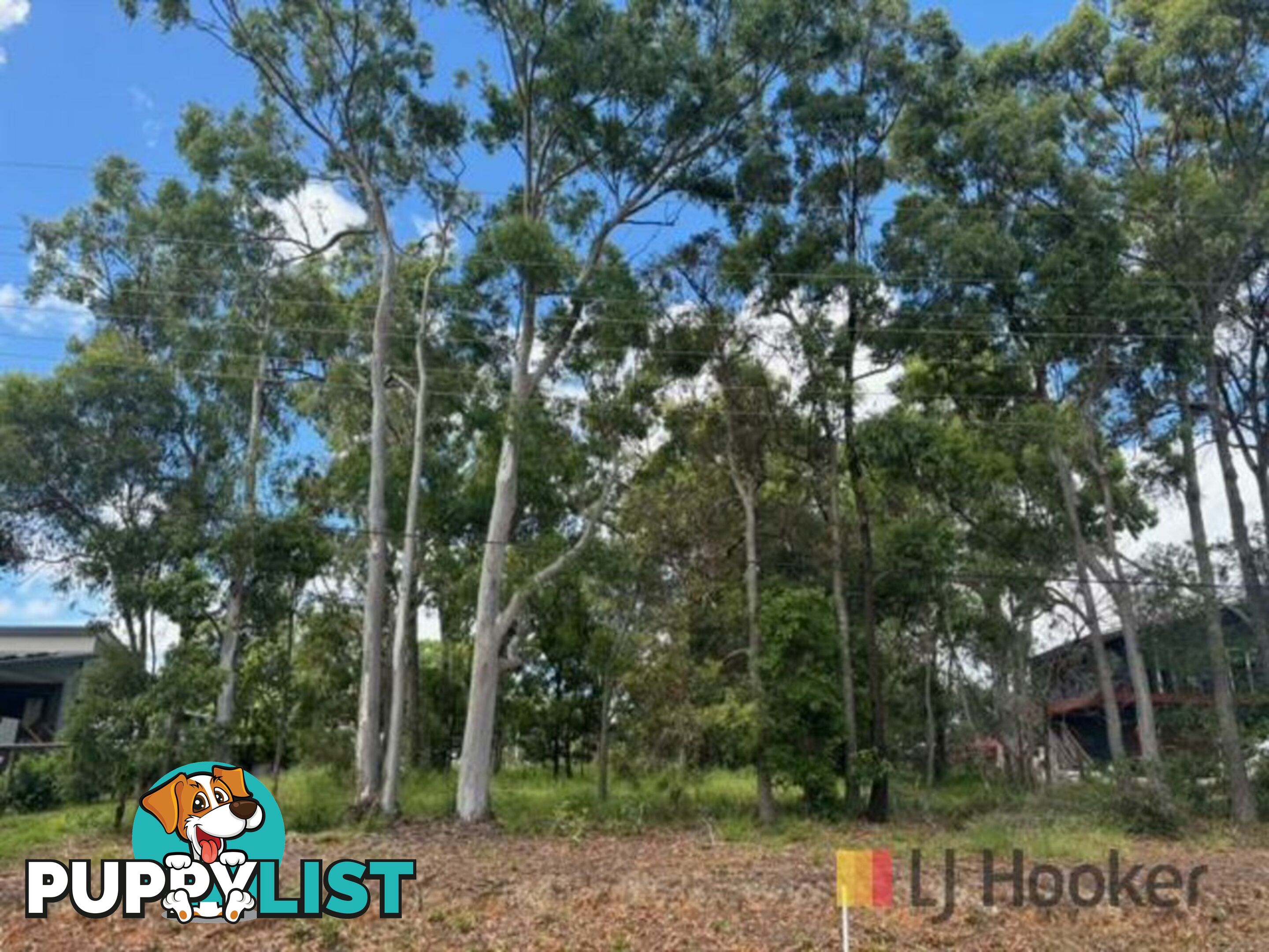 220 Kate Street MACLEAY ISLAND QLD 4184