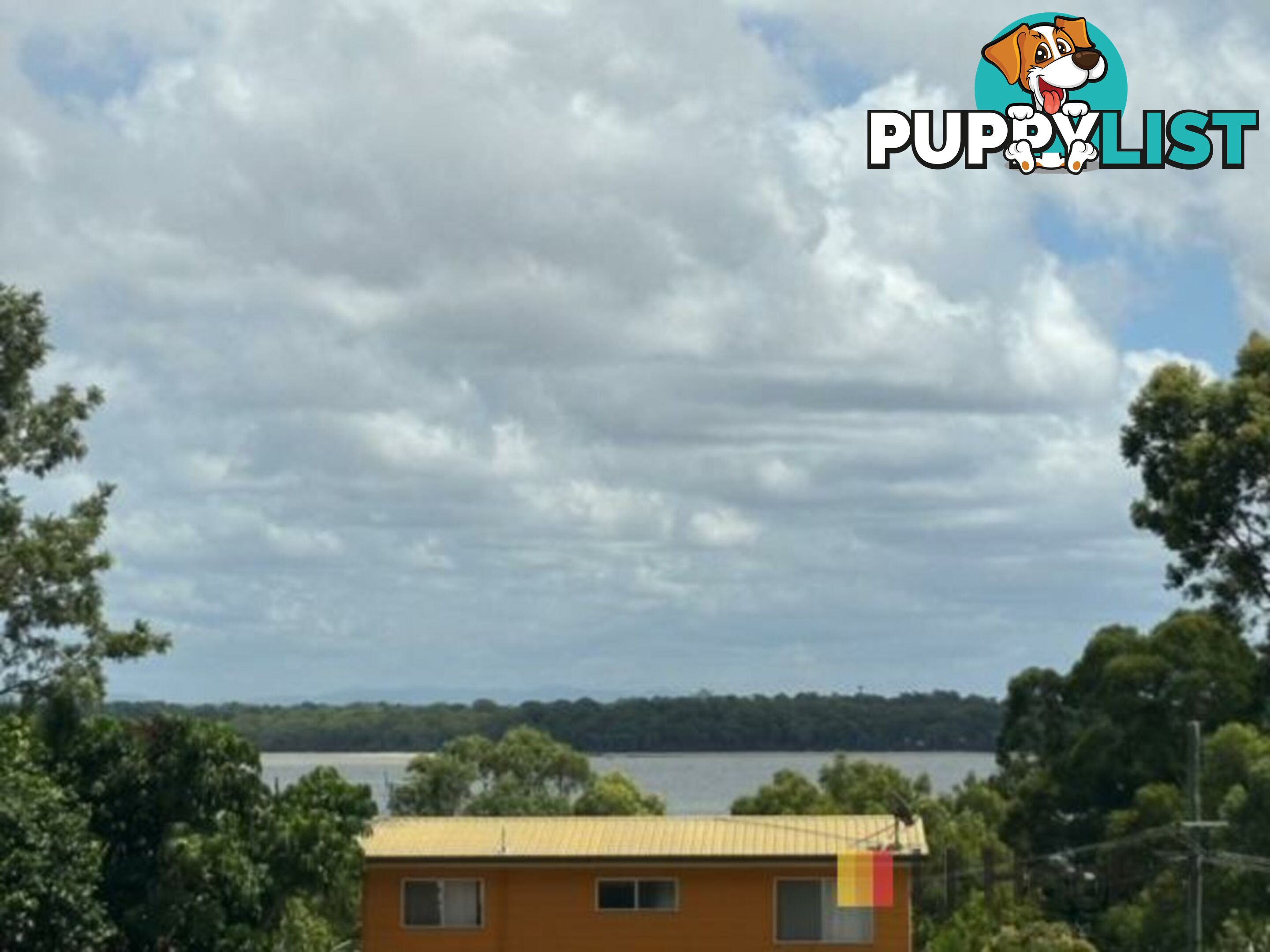 220 Kate Street MACLEAY ISLAND QLD 4184