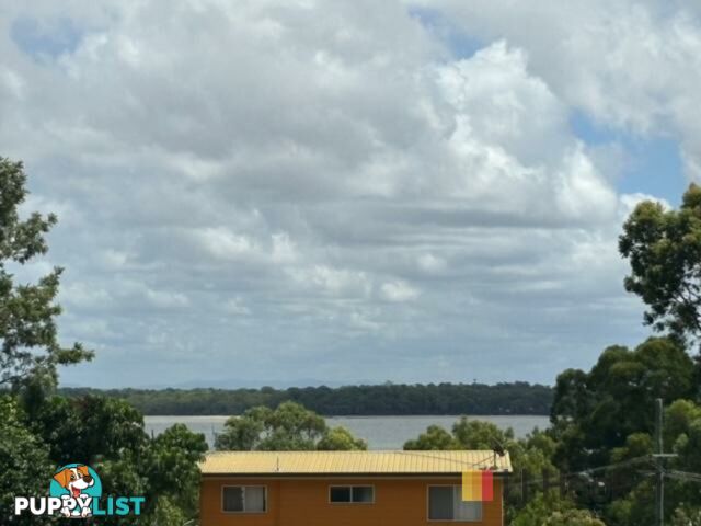 220 Kate Street MACLEAY ISLAND QLD 4184