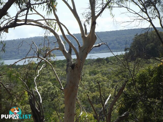 24-26. Timothy Street MACLEAY ISLAND QLD 4184