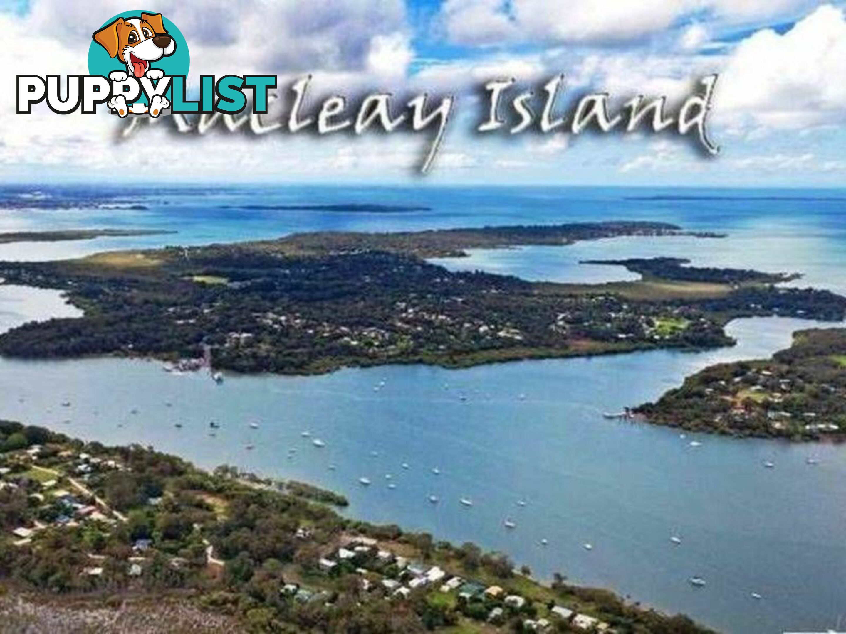 24-26. Timothy Street MACLEAY ISLAND QLD 4184