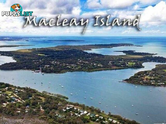 24-26. Timothy Street MACLEAY ISLAND QLD 4184