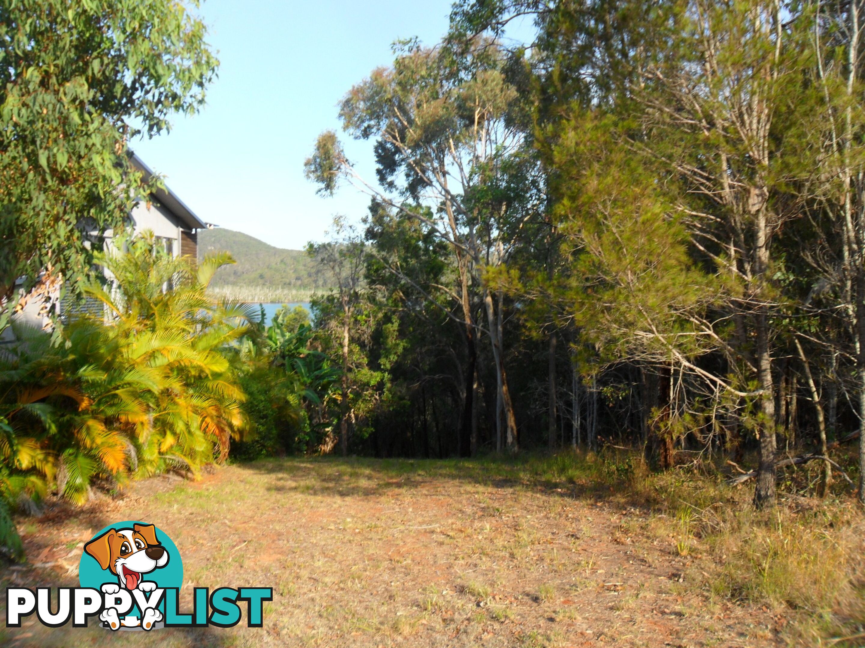 127 Wahine Drive RUSSELL ISLAND QLD 4184