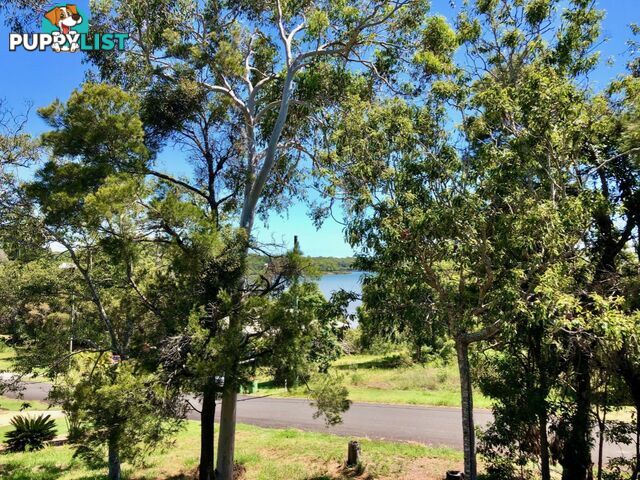 35 Timothy Street MACLEAY ISLAND QLD 4184