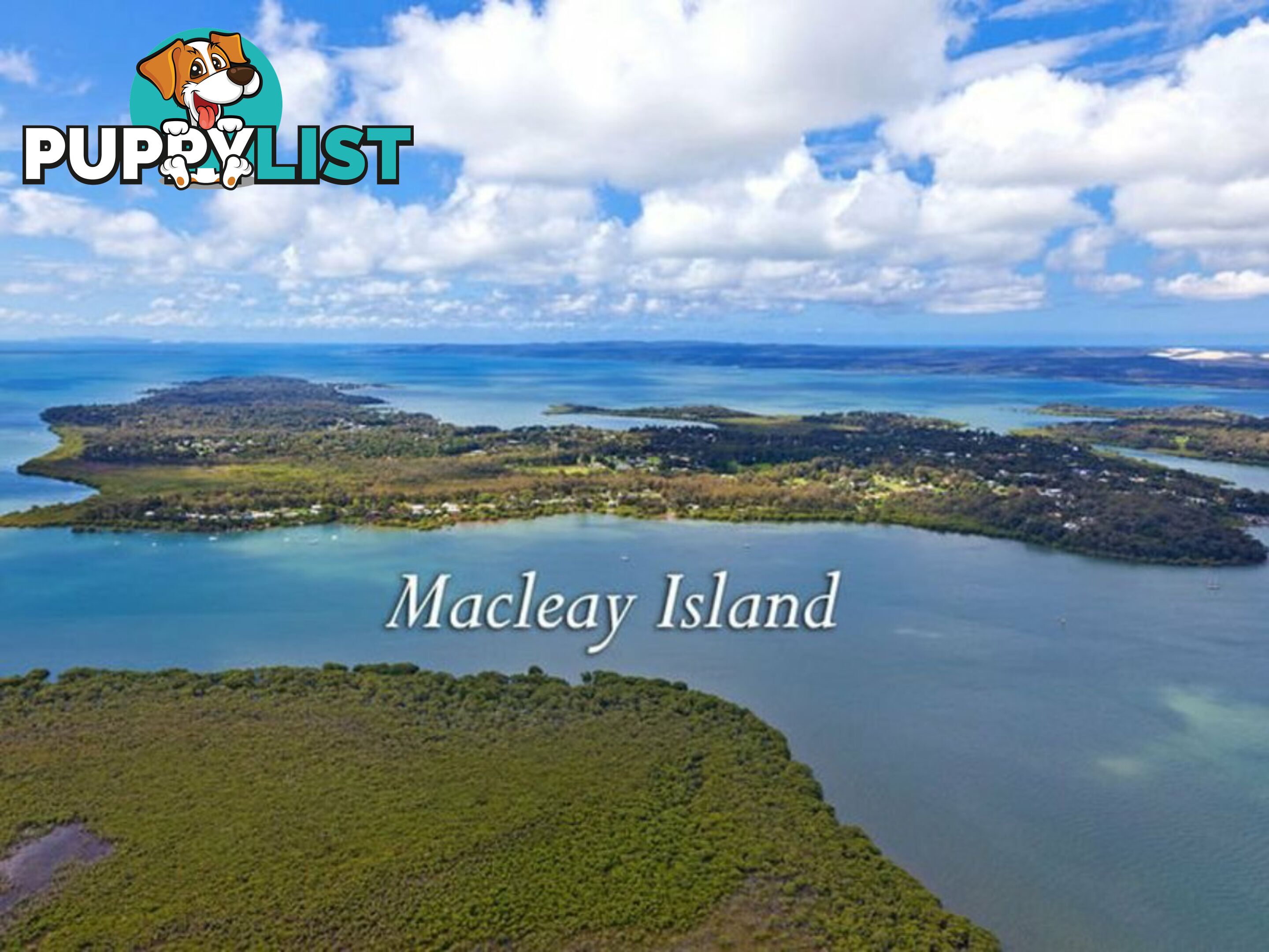 10 Matthew Street MACLEAY ISLAND QLD 4184