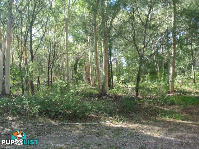 16 Heron Street MACLEAY ISLAND QLD 4184