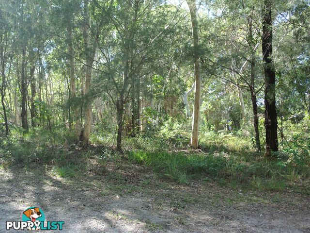 16 Heron Street MACLEAY ISLAND QLD 4184