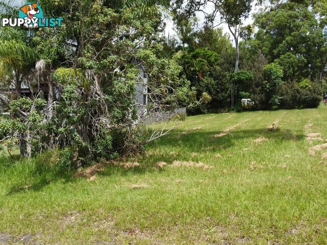 17 Mawarra Street MACLEAY ISLAND QLD 4184