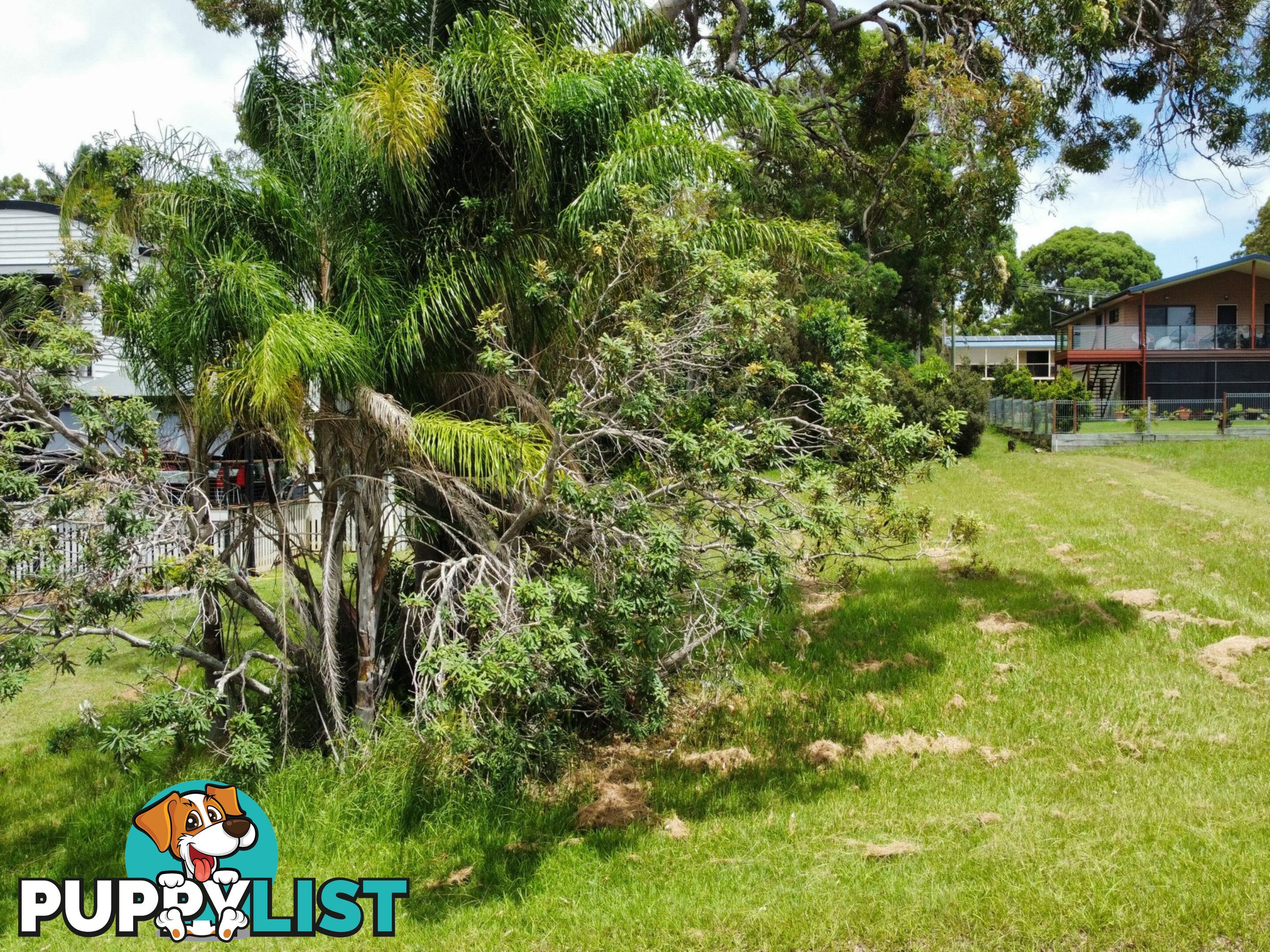 17 Mawarra Street MACLEAY ISLAND QLD 4184