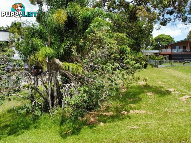 17 Mawarra Street MACLEAY ISLAND QLD 4184