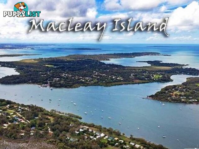 16 Rio Street MACLEAY ISLAND QLD 4184