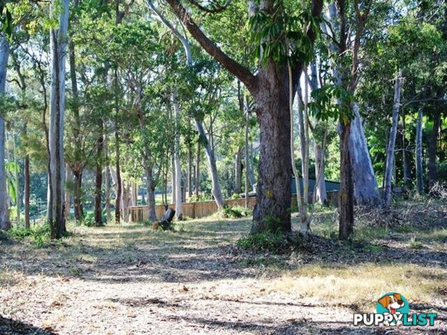 16 Rio Street MACLEAY ISLAND QLD 4184