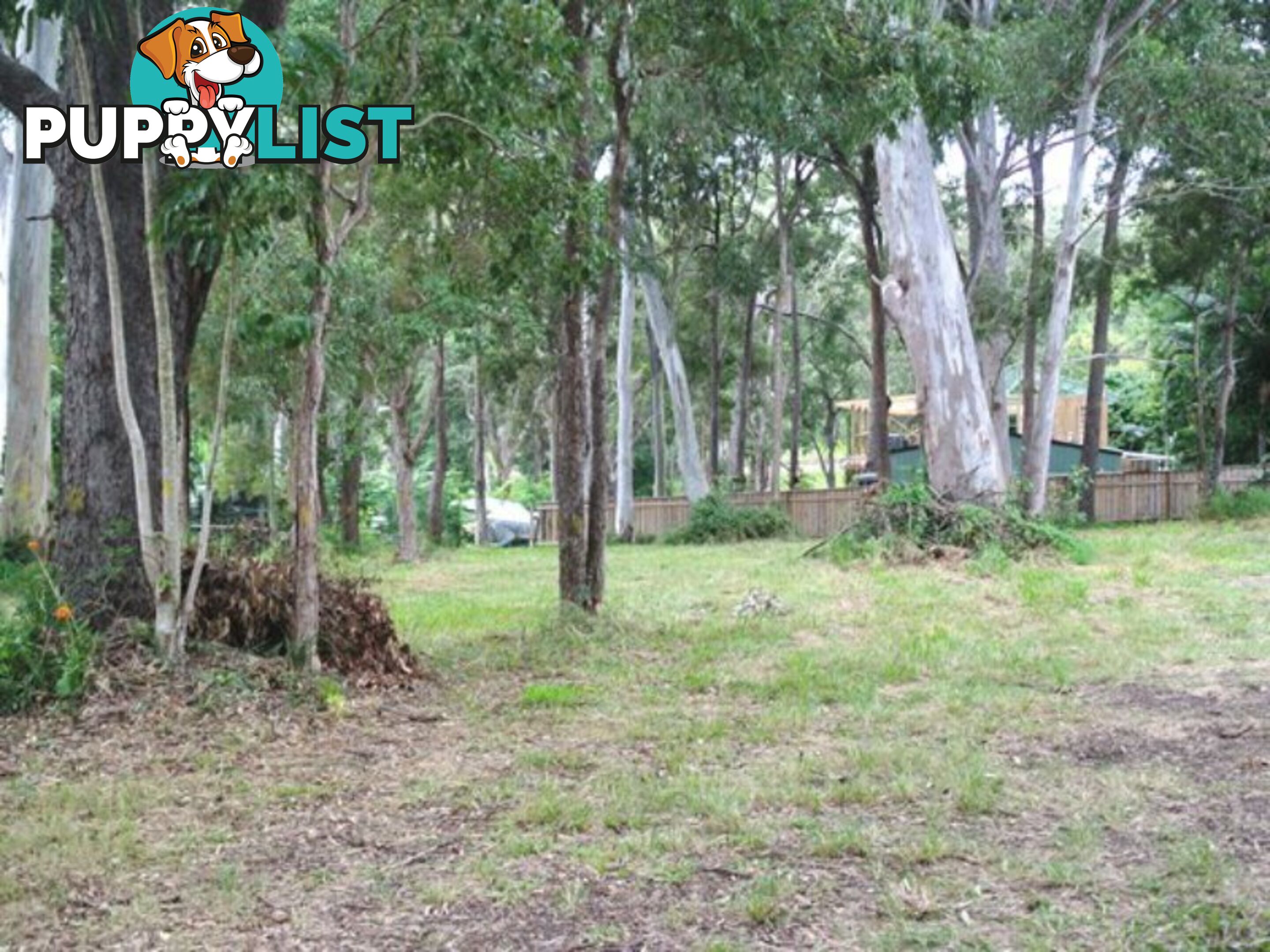 16 Rio Street MACLEAY ISLAND QLD 4184