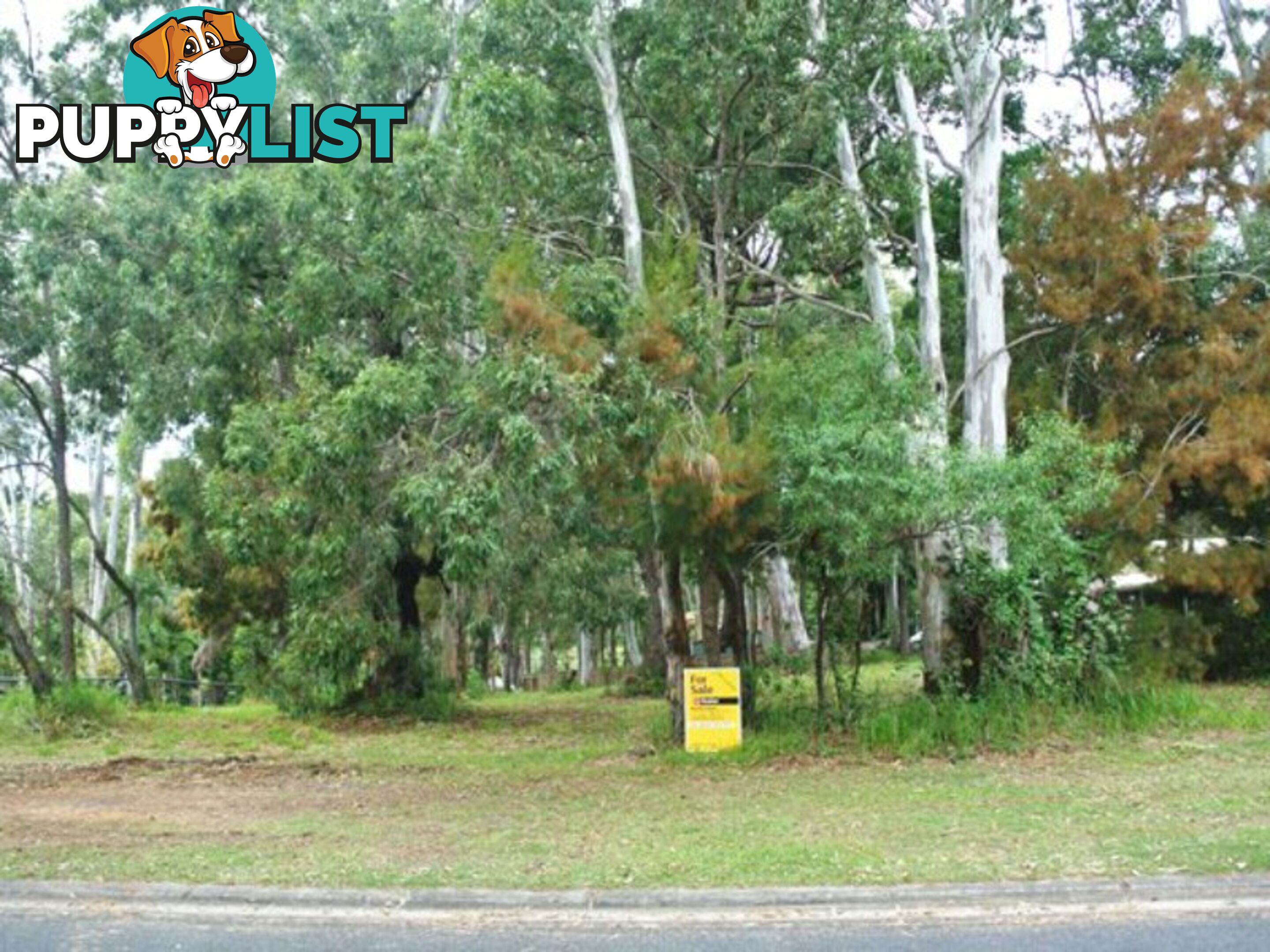 16 Rio Street MACLEAY ISLAND QLD 4184