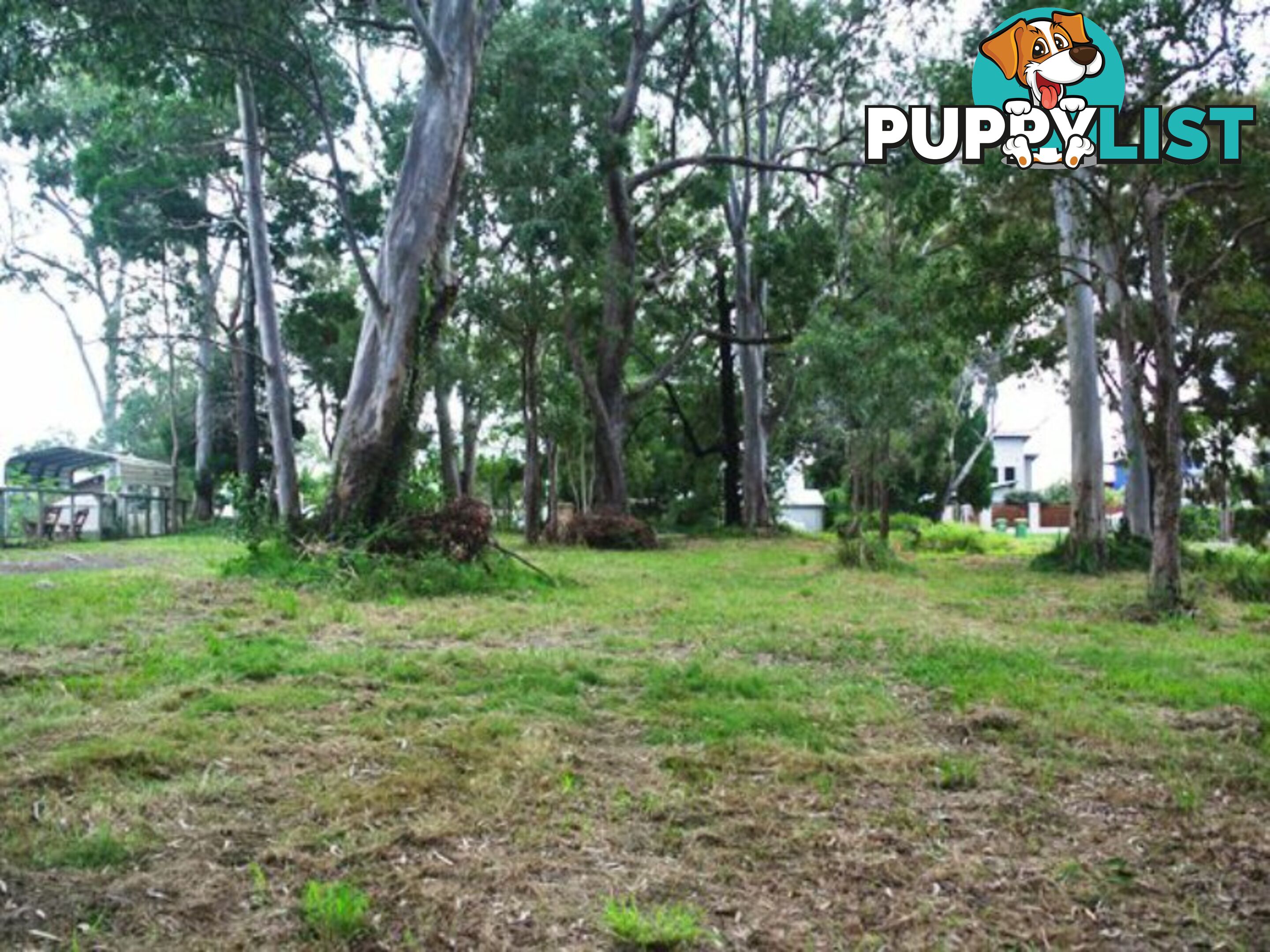 16 Rio Street MACLEAY ISLAND QLD 4184