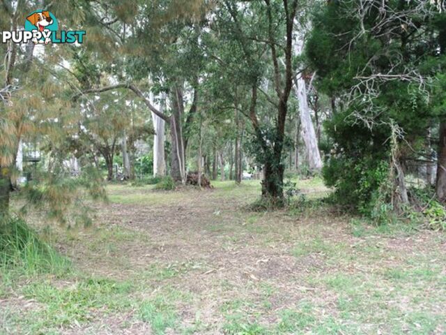 16 Rio Street MACLEAY ISLAND QLD 4184