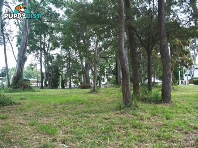 16 Rio Street MACLEAY ISLAND QLD 4184