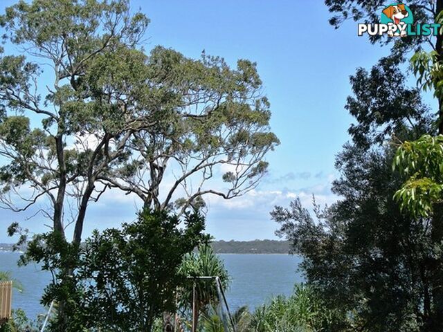 16 Rio Street MACLEAY ISLAND QLD 4184