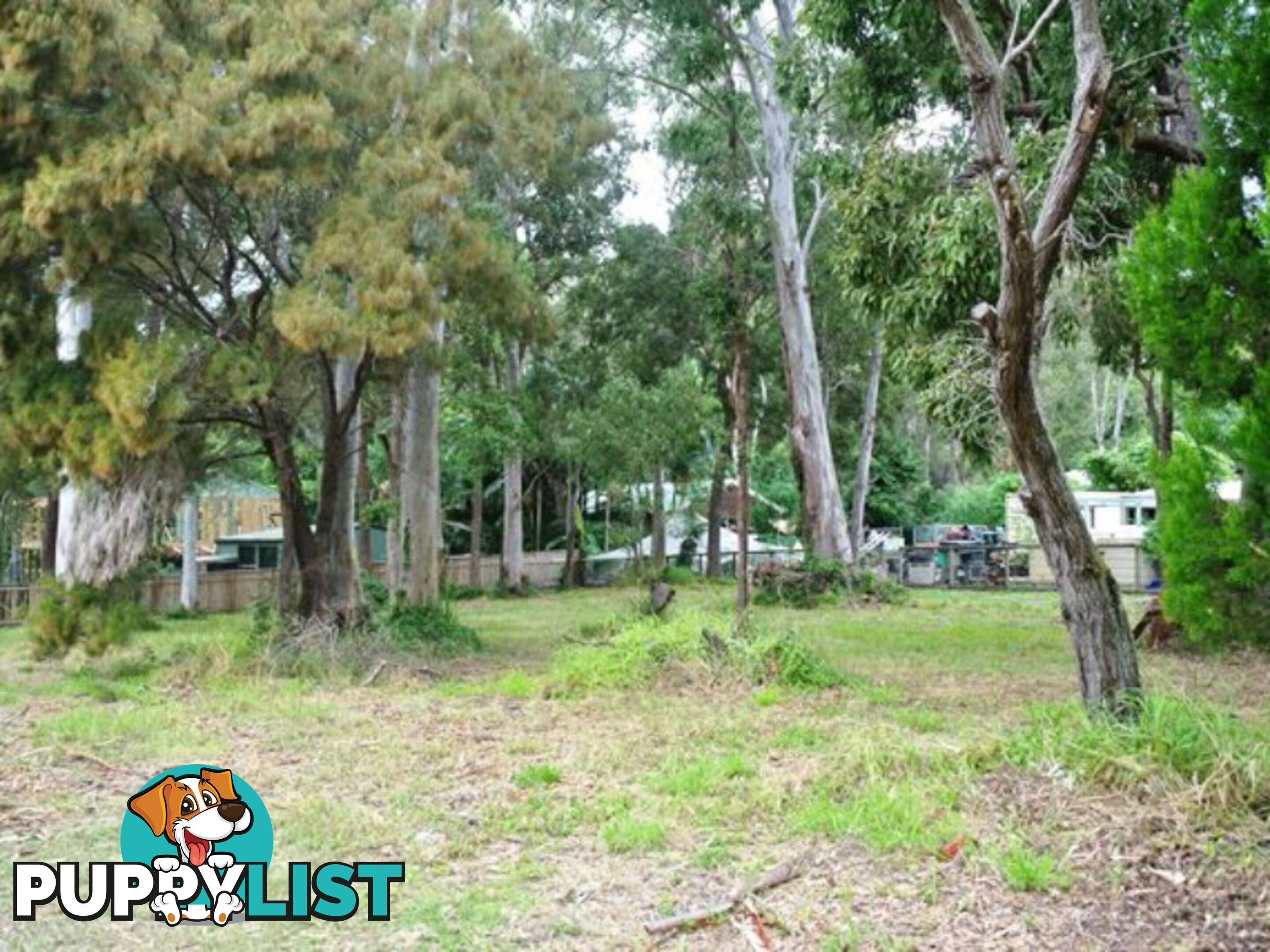 16 Rio Street MACLEAY ISLAND QLD 4184