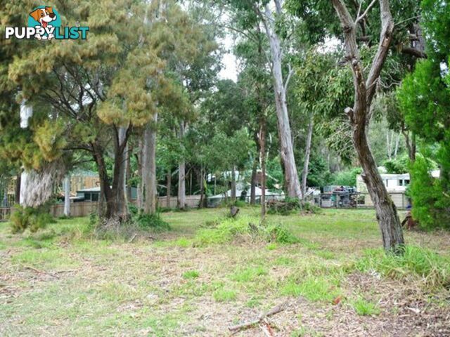 16 Rio Street MACLEAY ISLAND QLD 4184