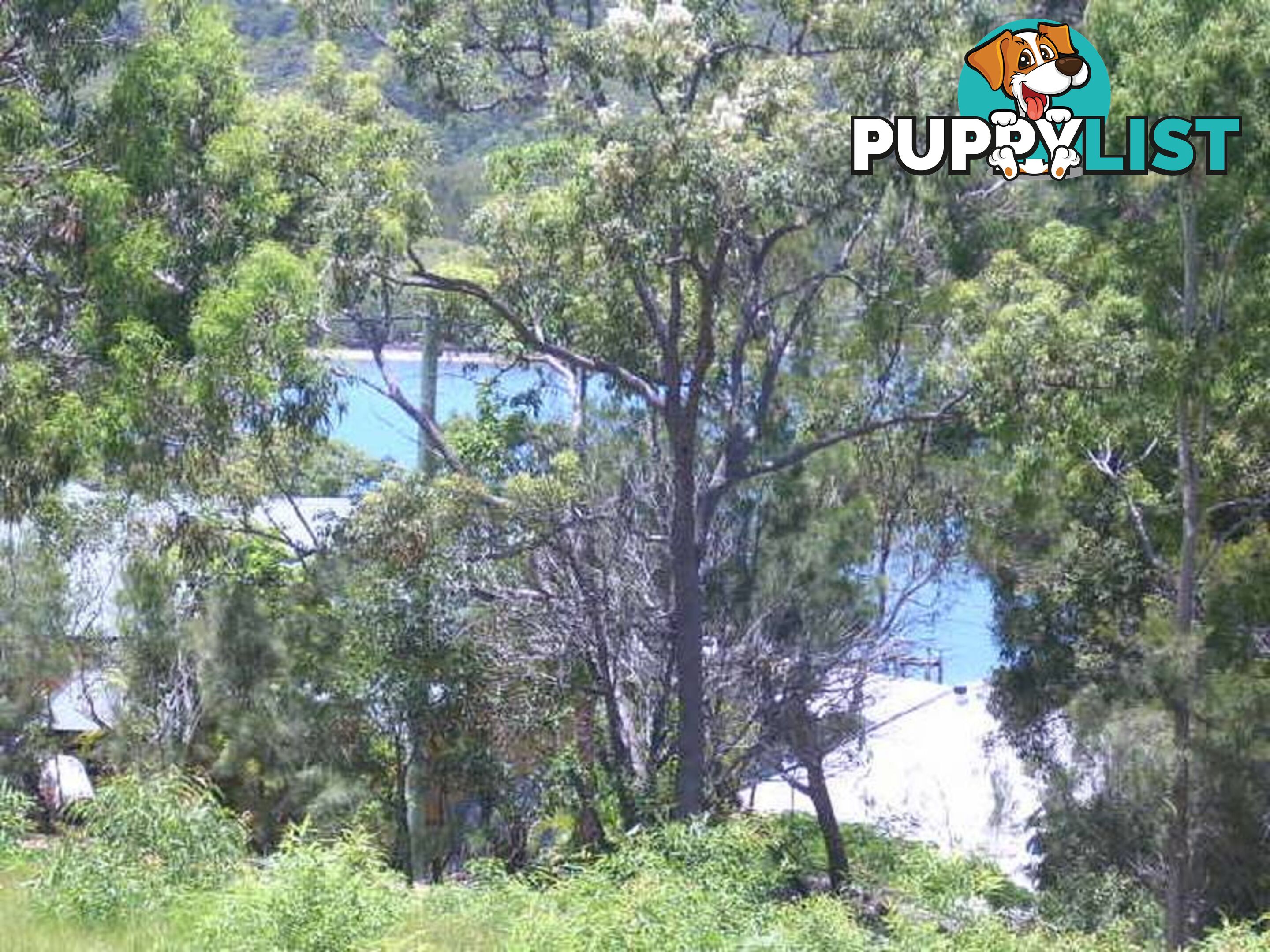 99 Highland Ridge Road RUSSELL ISLAND QLD 4184