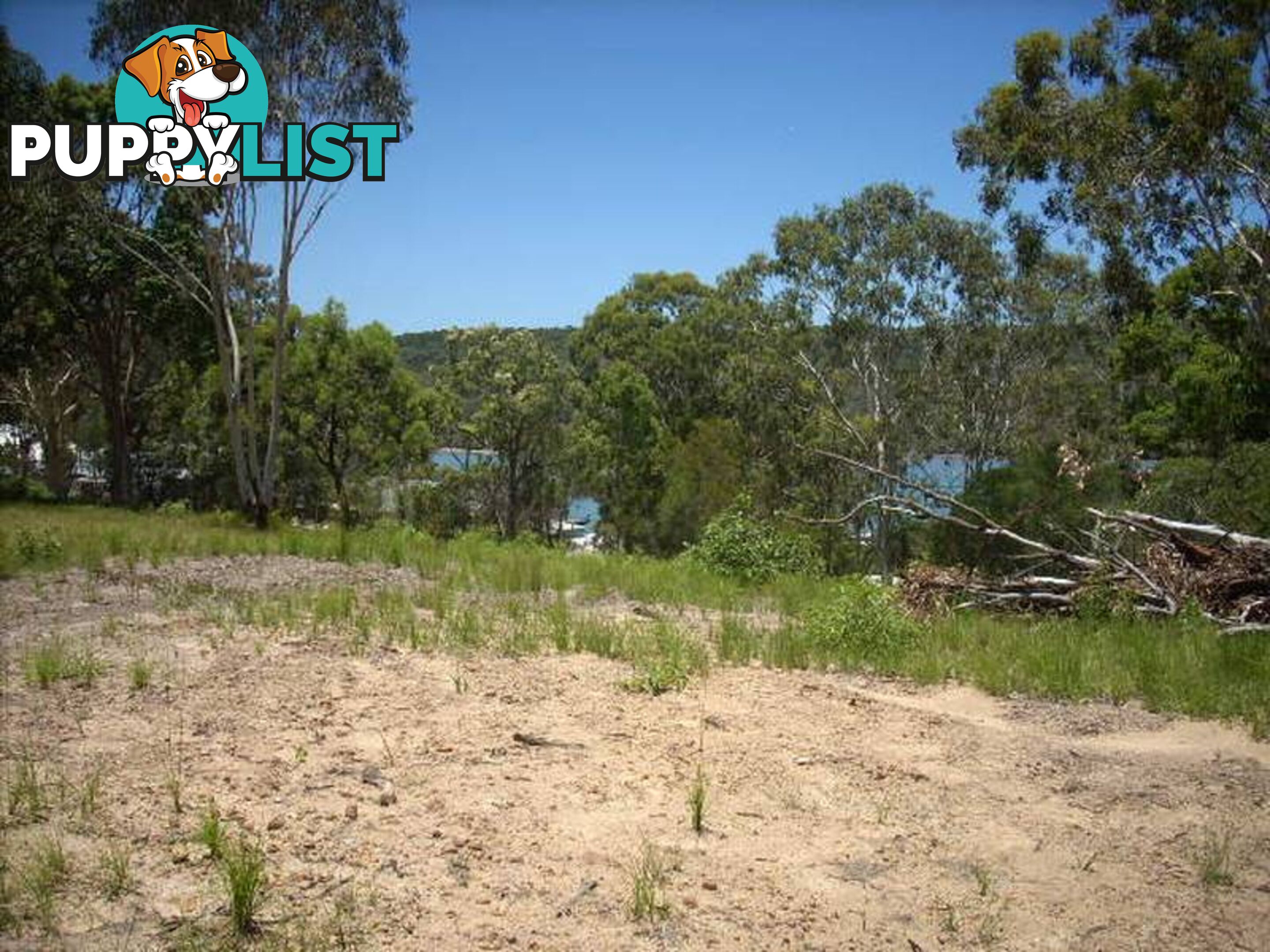 99 Highland Ridge Road RUSSELL ISLAND QLD 4184