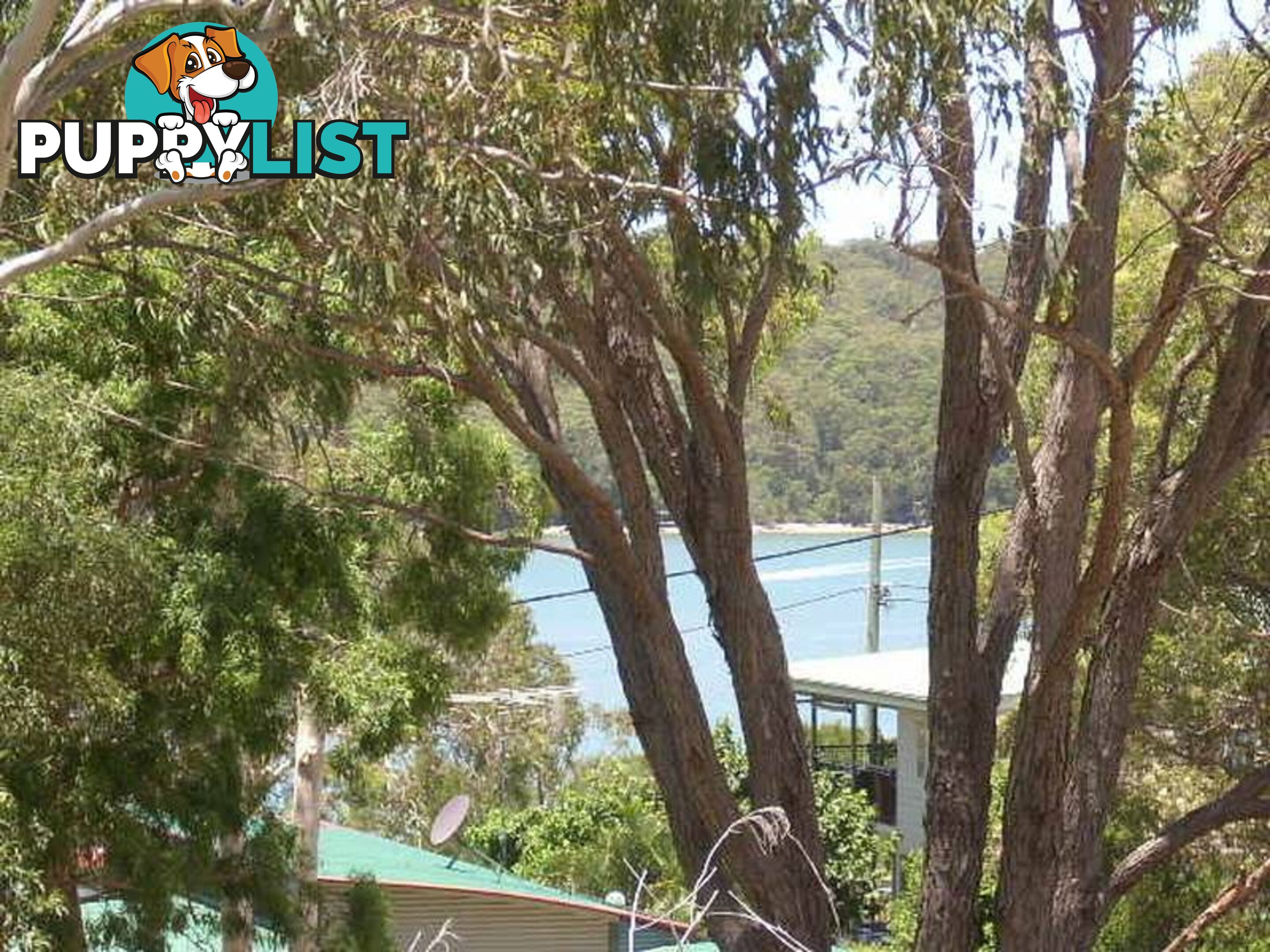 99 Highland Ridge Road RUSSELL ISLAND QLD 4184