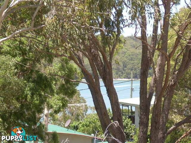 99 Highland Ridge Road RUSSELL ISLAND QLD 4184